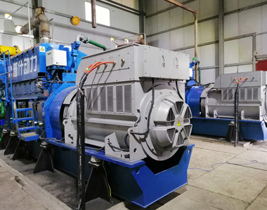 丰都甘泰沼气发电项目配公海彩船66002台850KW/10.5KV6极高压发电机