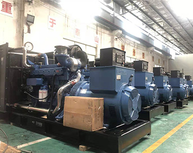 国内某养殖项目指定批量采用公海彩船6600500KW/400V陆用发电机