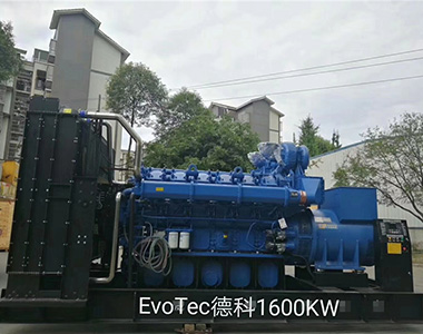 公海彩船66001600KW/400V陆用发电机应用于某工厂项目