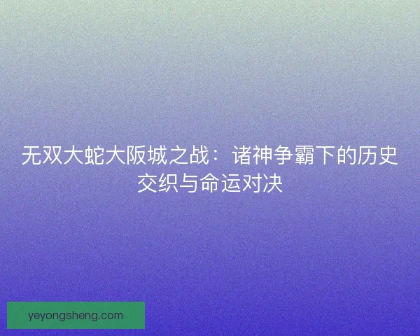 无双大蛇大阪城之战：诸神争霸下的历史交织与命运对决